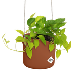 b.for swing 18cm klinkerrot